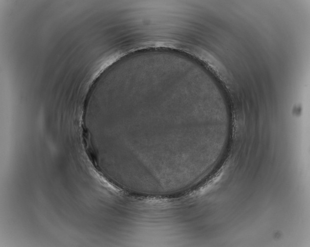 X0000097610977200803141935