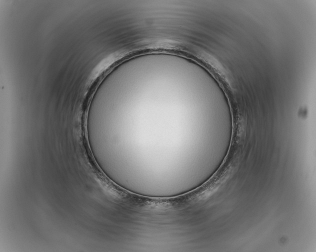 X0000097610978200803141935