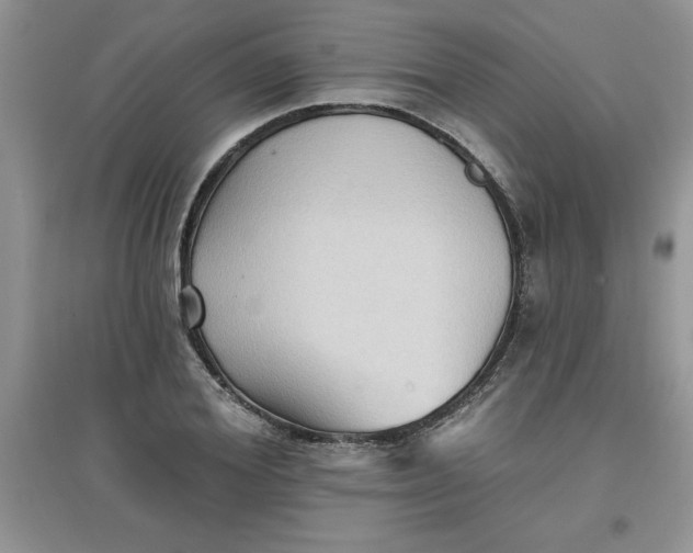 X0000097610980200803141935