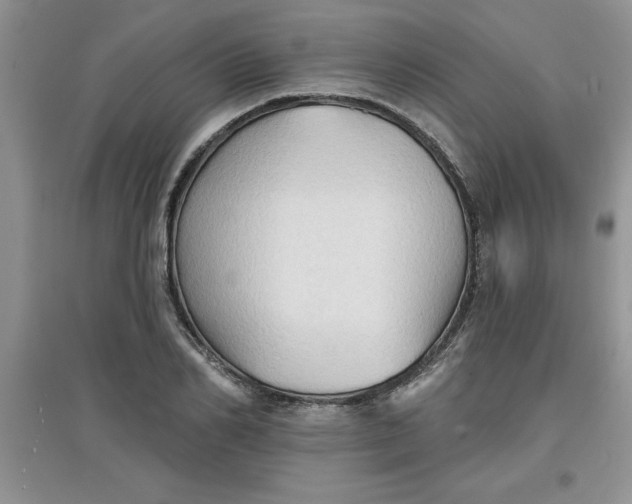 X0000097610982200803141935