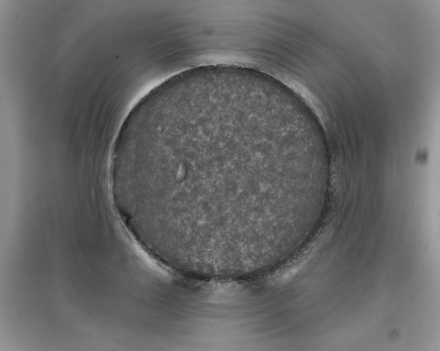 X0000097610983200803141935