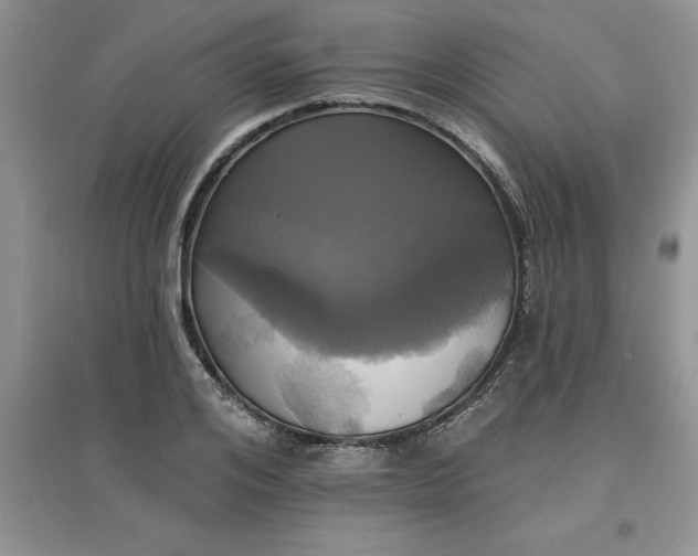 X0000097610984200803141935