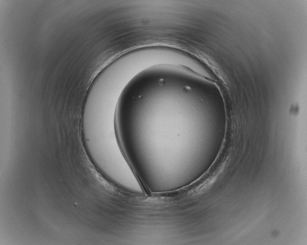 X0000097610985200803141935