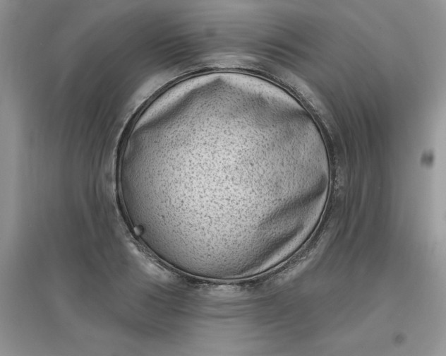 X0000097610986200803141935