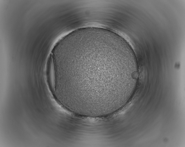 X0000097610987200803141935