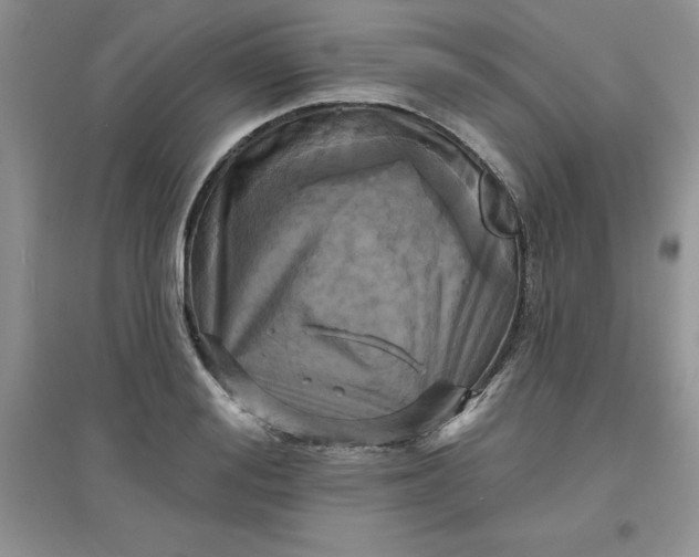 X0000097610988200803141935