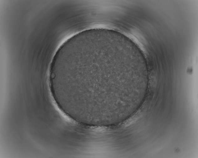 X0000097610991200803141935