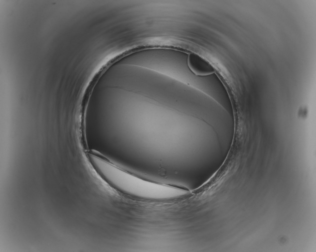 X0000097610992200803141935