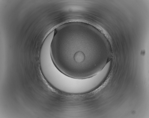 X0000097610993200803141935