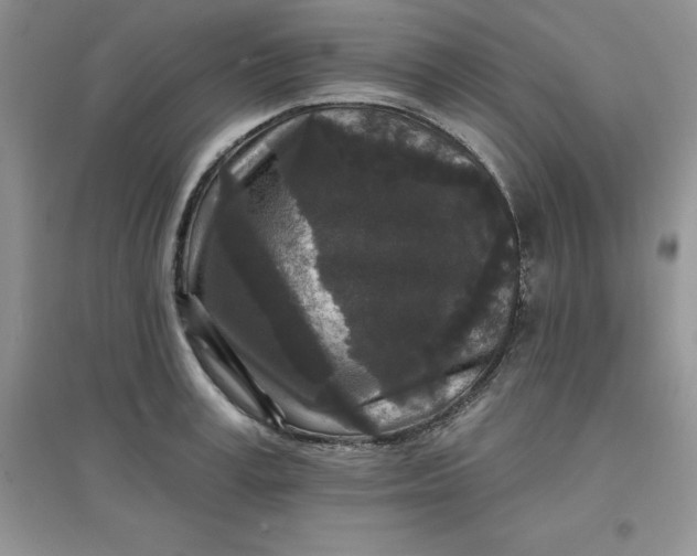 X0000097610995200803141935