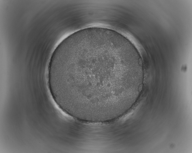 X0000097610999200803141935