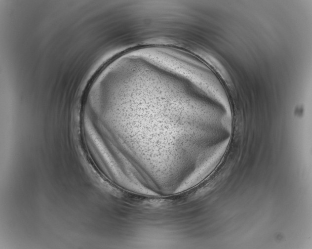 X0000097611000200803141935