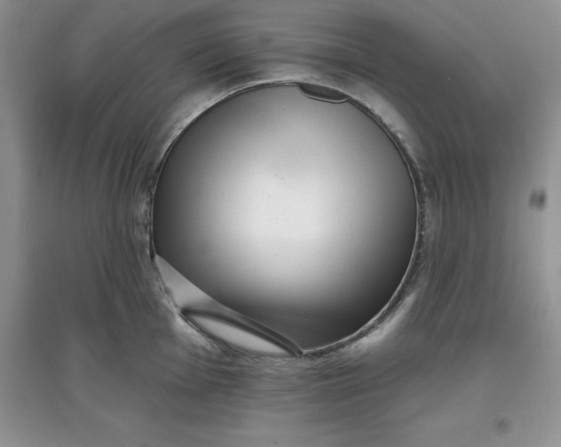 X0000097611001200803141935