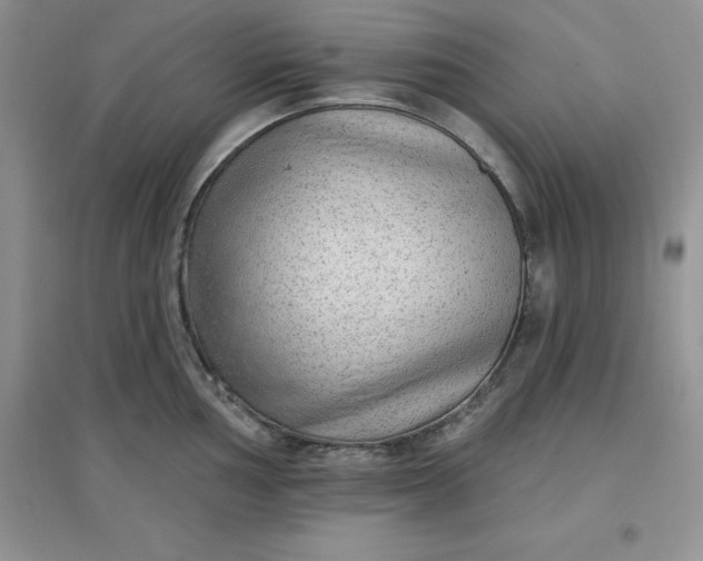 X0000097611002200803141935