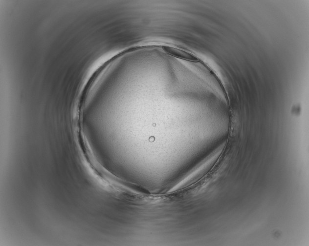 X0000097611003200803141935