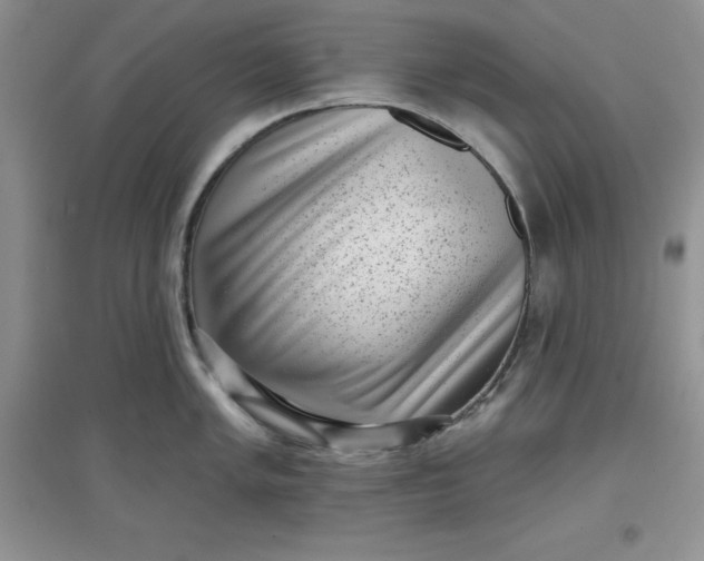 X0000097611005200803141935