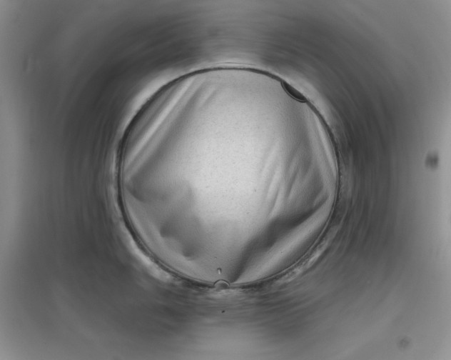 X0000097611006200803141935