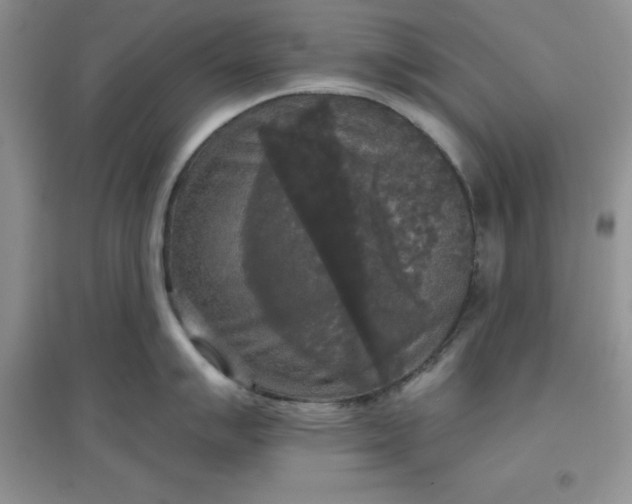 X0000097611007200803141935