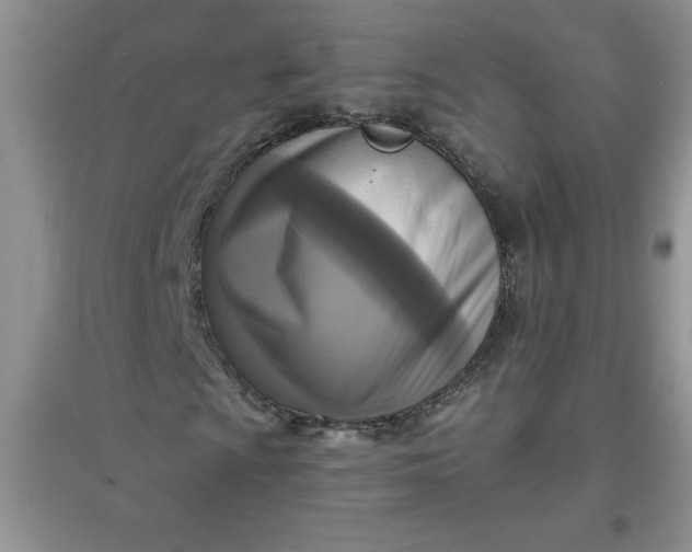 X0000097611009200803141934