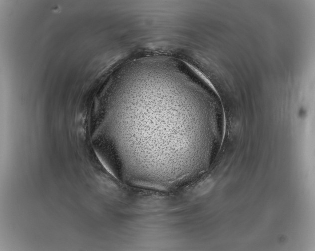 X0000097611010200803141934