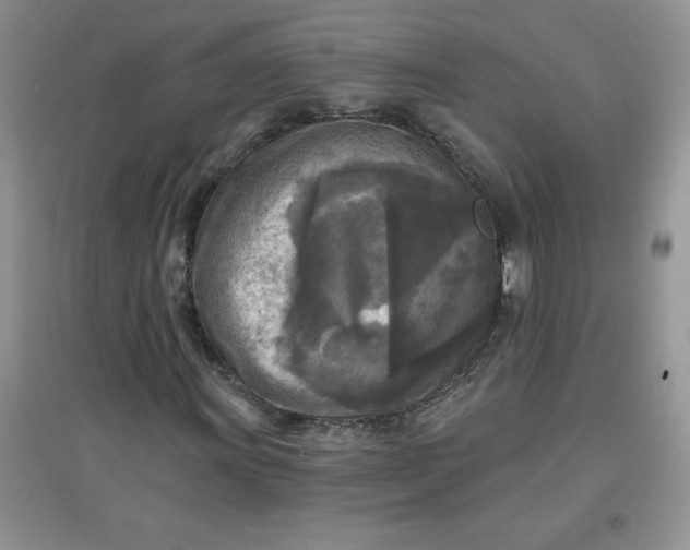 X0000097611011200803141934