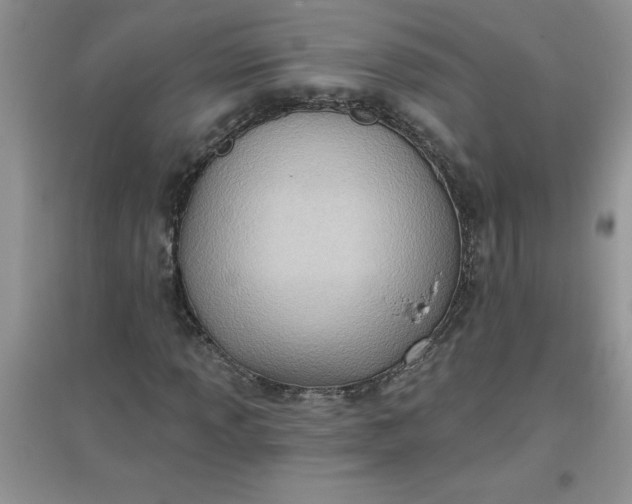 X0000097611013200803141934