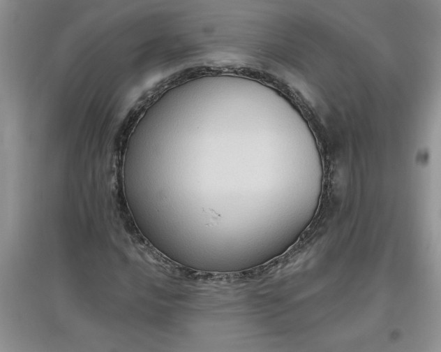 X0000097611016200803141934