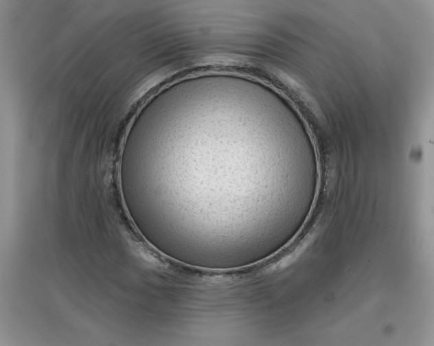 X0000097611017200803141934