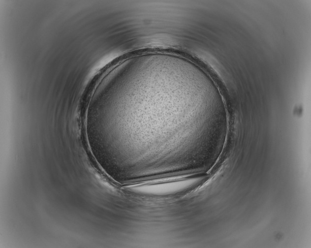 X0000097611018200803141934