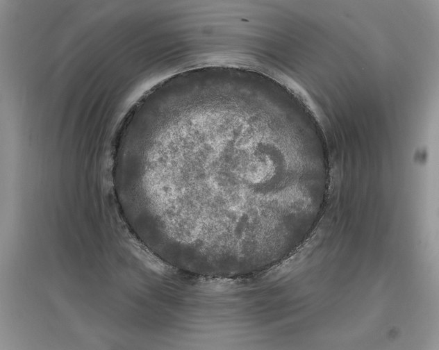 X0000097611019200803141934