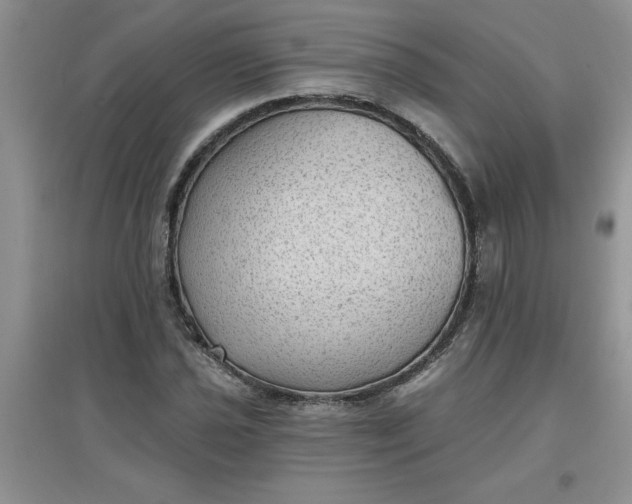 X0000097611021200803141934