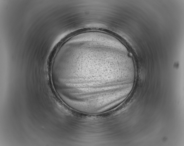 X0000097611022200803141934