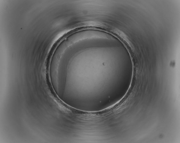 X0000097611024200803141934