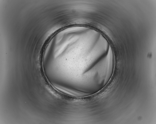 X0000097611026200803141934