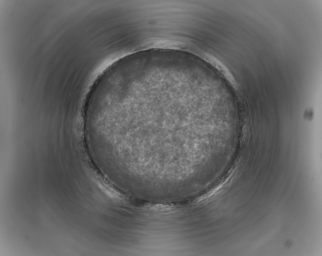 X0000097611027200803141934