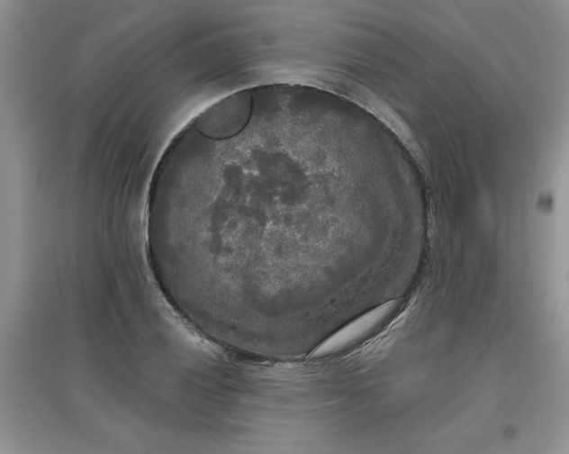 X0000097611028200803141934