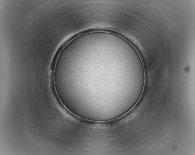 X0000097611029200803141934