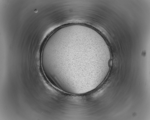 X0000097611030200803141934