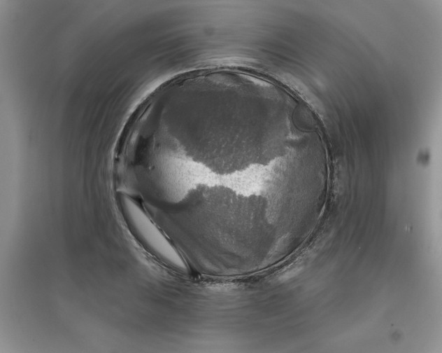 X0000097611031200803141935