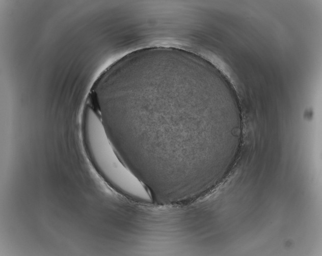 X0000097611032200803141935