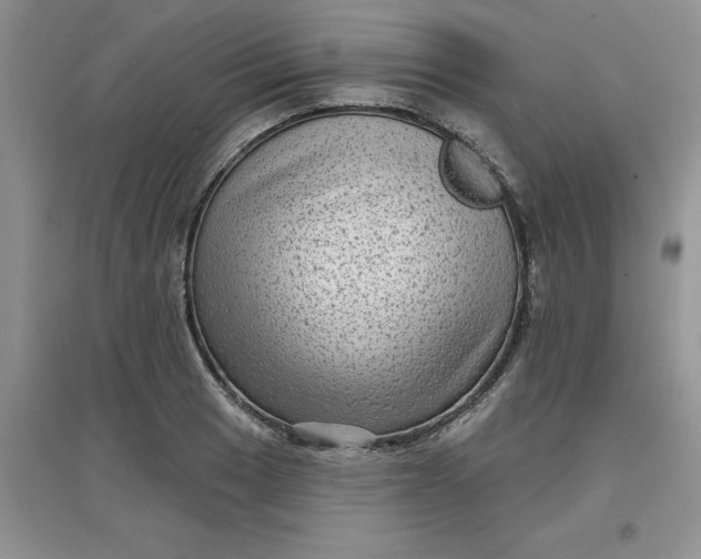 X0000097611033200803141935