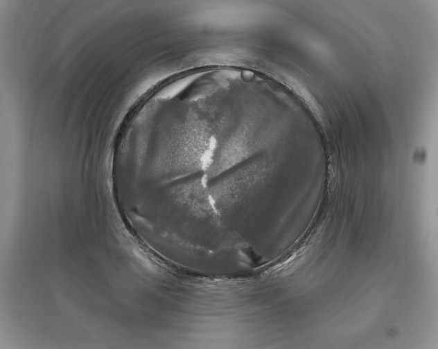 X0000097611035200803141935