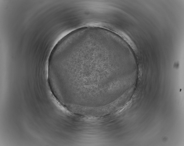 X0000097611036200803141935