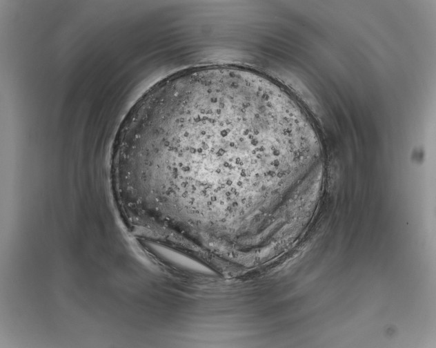 X0000097611039200803141935