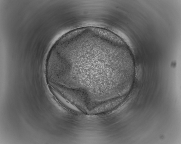 X0000097611043200803141935