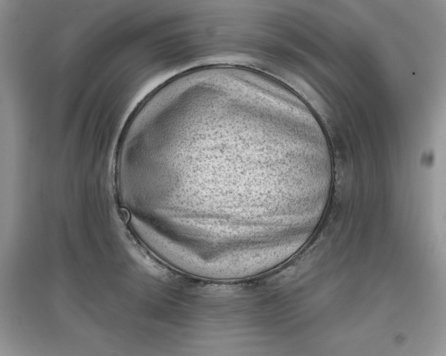 X0000097611044200803141935