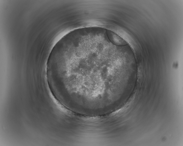 X0000097611047200803141935