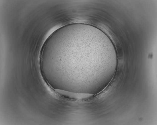 X0000097611050200803141935