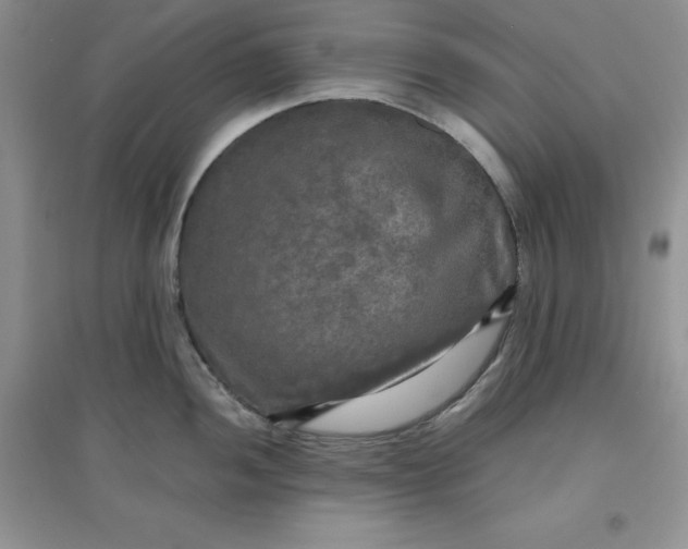 X0000097611052200803141935