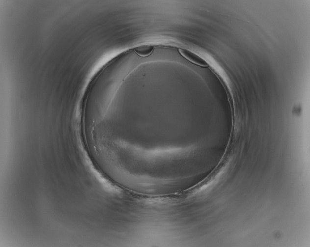 X0000097611053200803141935